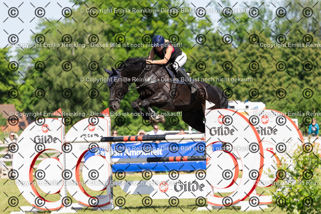 CL5A1350 | Emilia Reinking Fotografie - Realisiert mit Pictrs.com