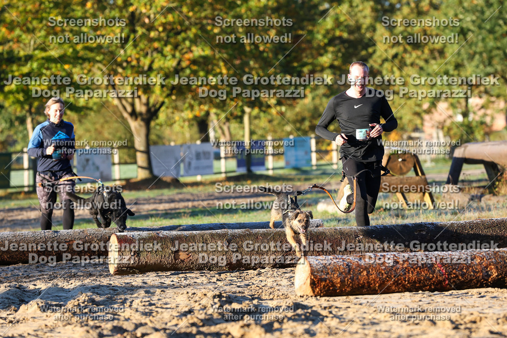 Dog Paparazzi - Strongdog 10-25-598 | Dog Paparazzi Jeanette Grottendiek Fotografie & Videografie - Realisiert mit Pictrs.com