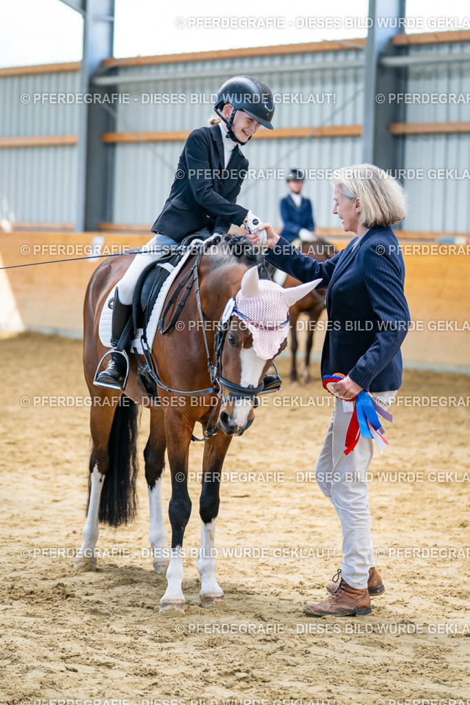 DSC01153 | Pferdegrafie