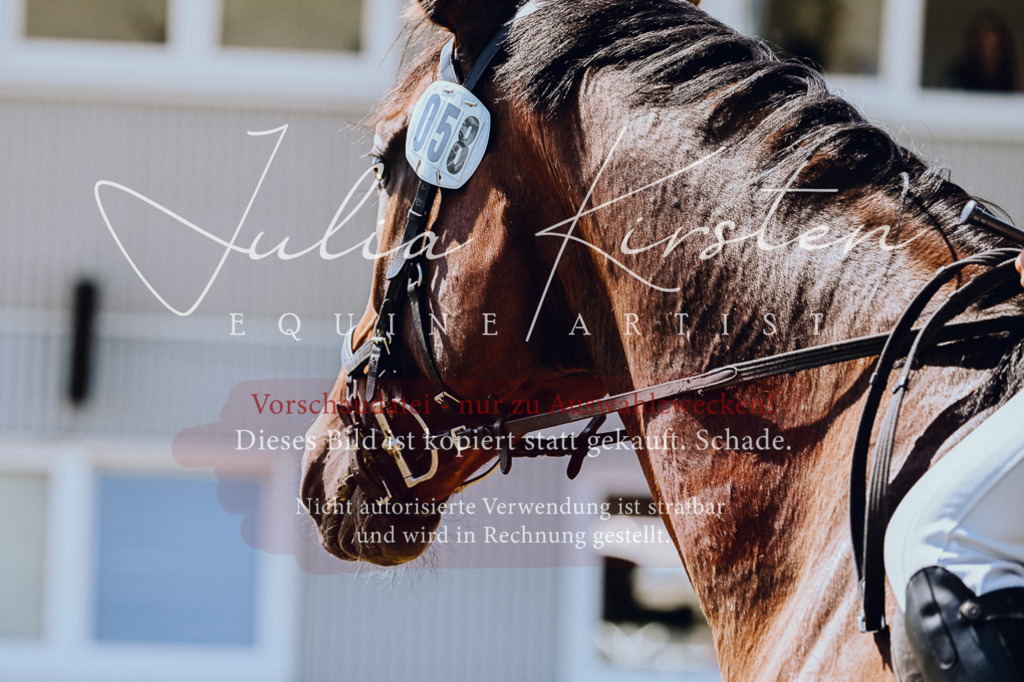 DSC_1271 | Pferde- und Turnierfotografie in Westsachsen. Pferdeportraits, Auftragszeichnungen und intuitive Kunst.