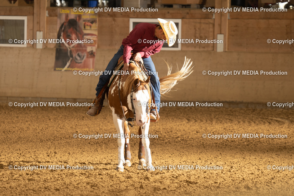 LAU00801 | dv-media-shop - Realisiert mit Pictrs.com