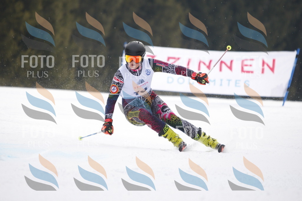 D4818 | holidayphoto