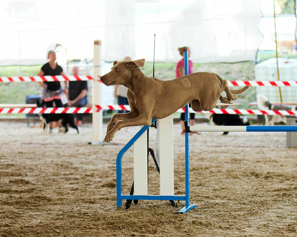 580A0050 | Peter Fridle Fotografie - Realisiert mit Pictrs.com