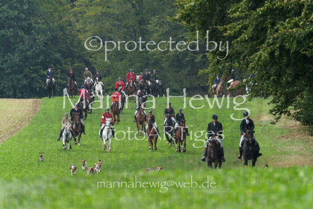 Jagd Perdoel_MarinaHewigMCH03959 | Fotografie, FotoArt, PferdesportArt, Pferdesportfotografie, Landschaftsfotografie, Reisefotografie, Reise, Pferde - Realisiert mit Pictrs.com