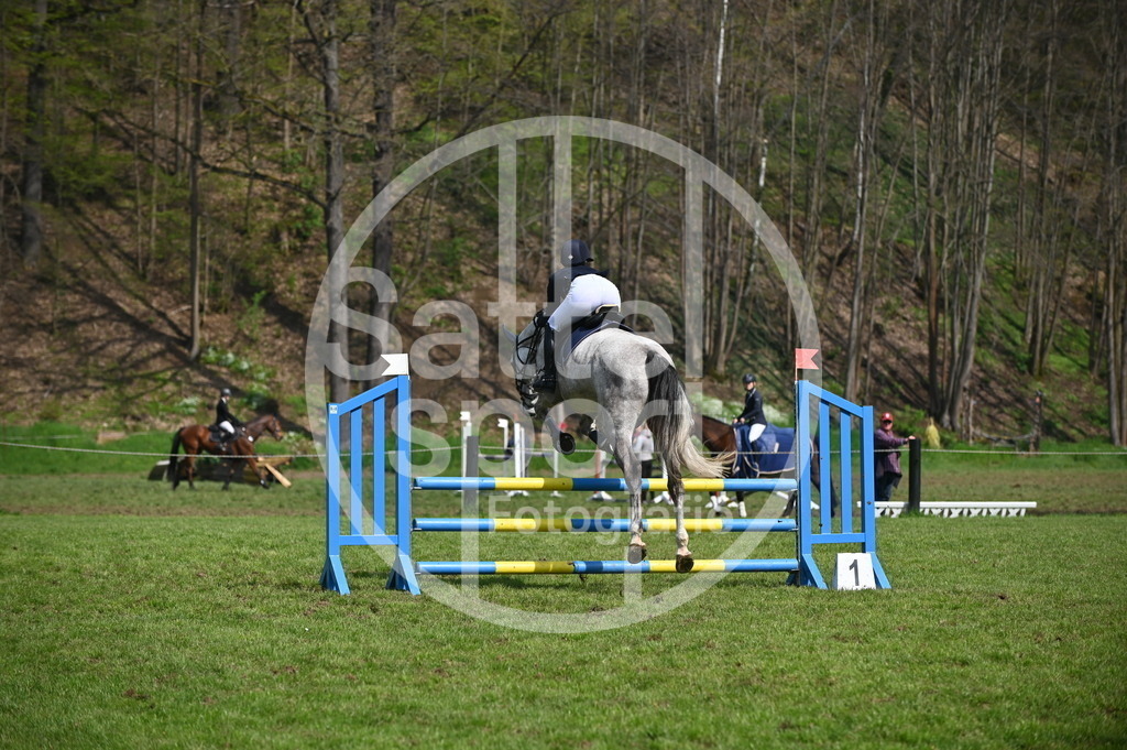 DSC_1195 | sattelsport - Realisiert mit Pictrs.com