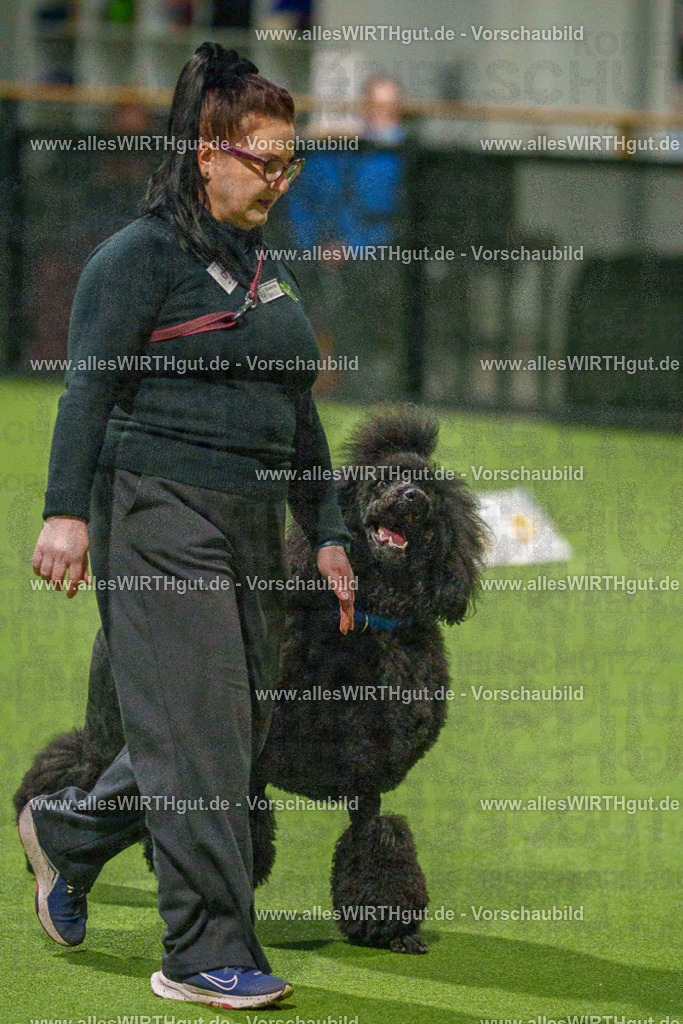 7R508795 | Professionelle Tierfotografie in Mönchengladbach von Daniel Wirth (allesWIRTHgut). Liebevolle & natürliche Bilder von Hunden & Katzen für unvergessliche Erinnerungen.