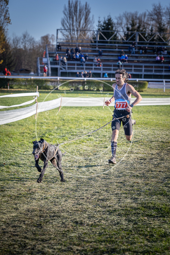 CaniXpix_DV3A2756 | Hundefotografie, Tierfotograf, Pfotenfotografie, Fotoshooting Hund, Hunde Portrait, Hundesport, Hundeportraits, Heideshooting, Hunde, Sportfotograf, Hundefotograf, Turnierhundsport, THS,  - Realisiert mit Pictrs.com