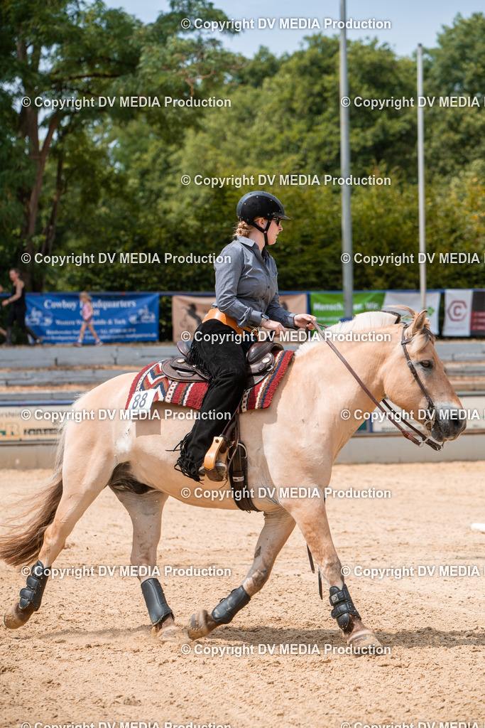 EWP_6309 | dv-media-shop - Realisiert mit Pictrs.com