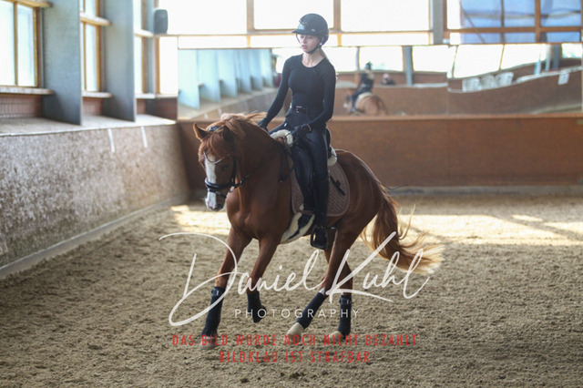 DKP42604 | Turniersportfotografie; Pferdefotografie; Dressurfotografie