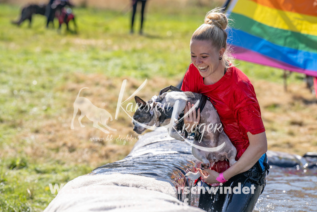 1235_ZZ92558 | kk-dogfotos