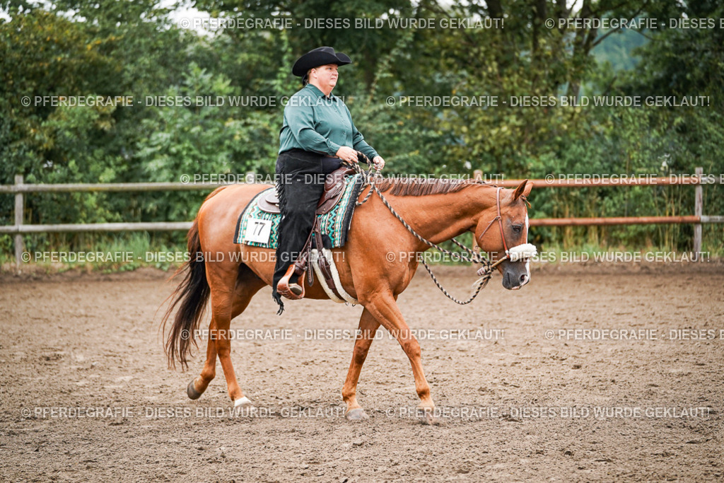 DSC01716 | Pferdegrafie