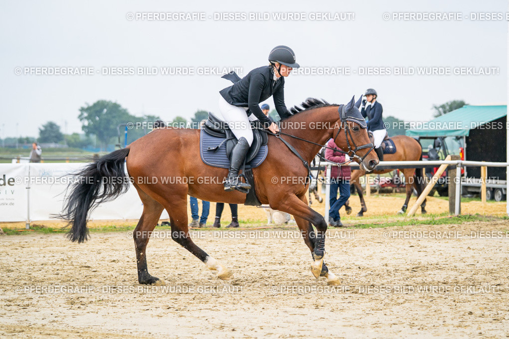 DSC00493 | Pferdegrafie