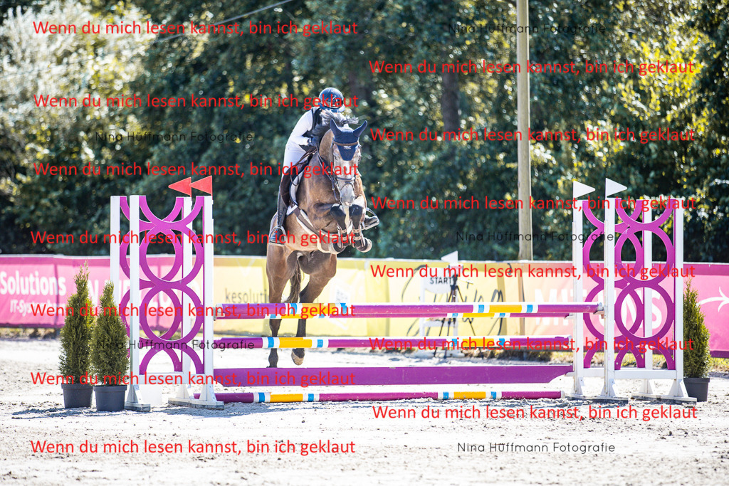 BK1A5386 | Turnierbilder Turnierfotos Nina Hüffmann Turnierfotografie Pferdefotografie Tierzeichnung Haustierzeichnung Pferdezeichnung Hundezeichnung Videograf  - Realisiert mit Pictrs.com