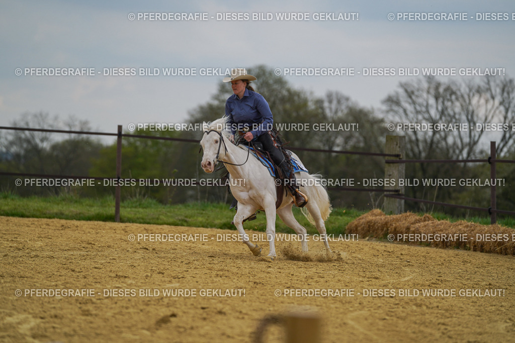 DSC07503 | Pferdegrafie