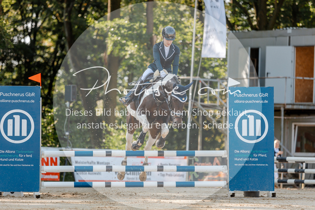 3I6A3286 | Stimmungsvolle Portraits und Reitsportfotografie im Ruhrgebiet und im Münsterland.

Pferdefotografie, Hundefotografie, Tierfotografie, Reportagen, Portraits von Tier und Mensch, Turnierfotografie in Bochum, Recklinghausen, Marl, Haltern am See, Dülmen.. - Realisiert mit Pictrs.com