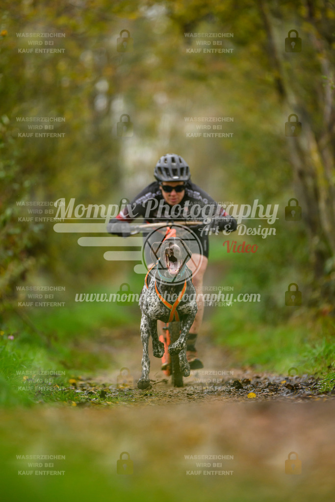 MompixPhotography_20TSB_E6_DS1-59 | PayLife