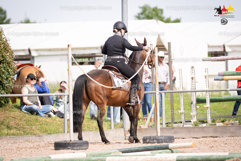 LMB09045 | BS-foto