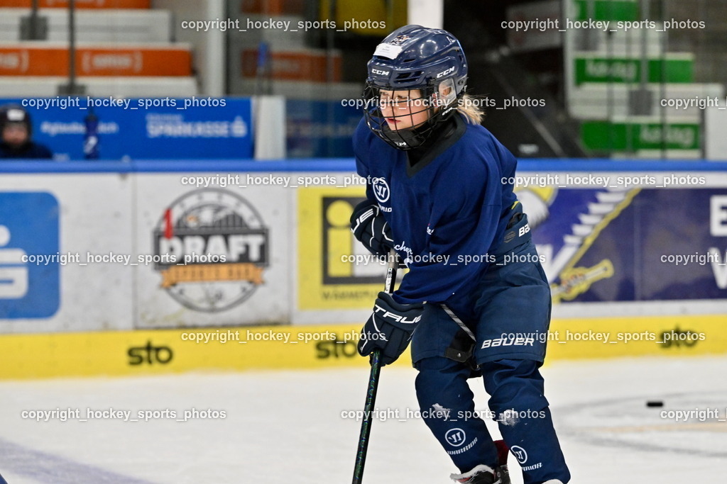 Z9B_1964 | hockey sports photos, Pressefotos, Sportfotos, hockey247, win 2day icehockeyleague, Handball Austria, Floorball Austria, ÖVV, Kärntner Eishockeyverband, KEHV, KFV, Kärntner Fussballverband, Österreichischer Volleyballverband, Alps Hockey League, ÖFB, 