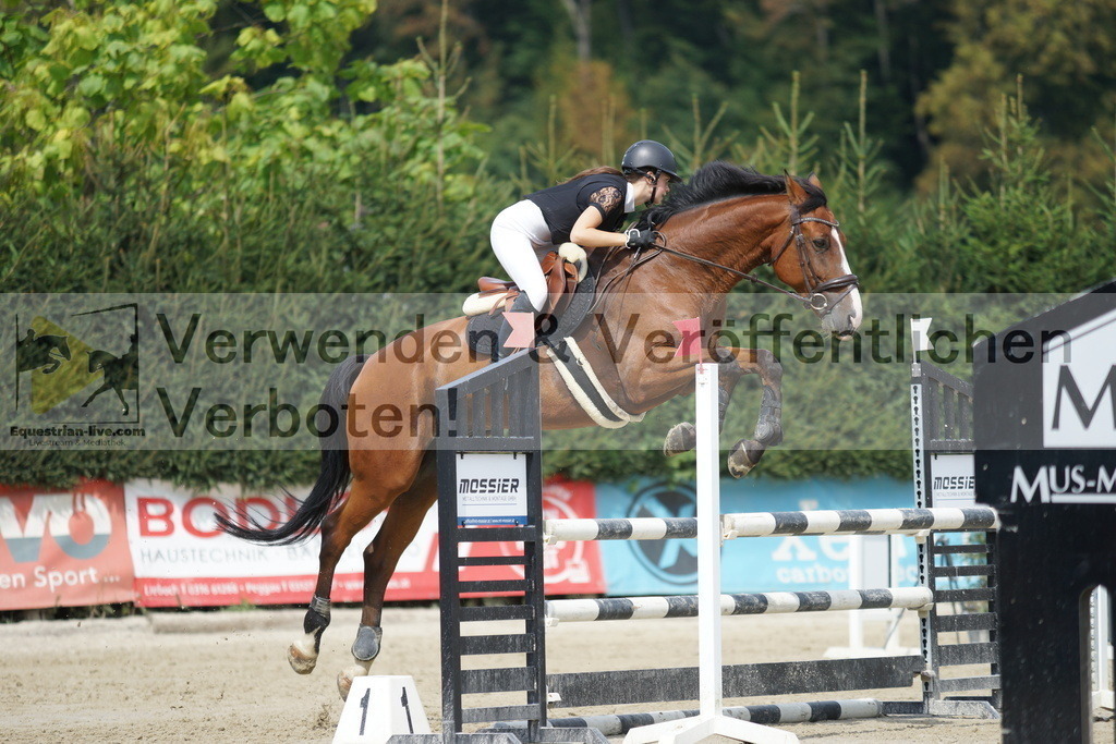 DSC00119 | equestrian-live-com