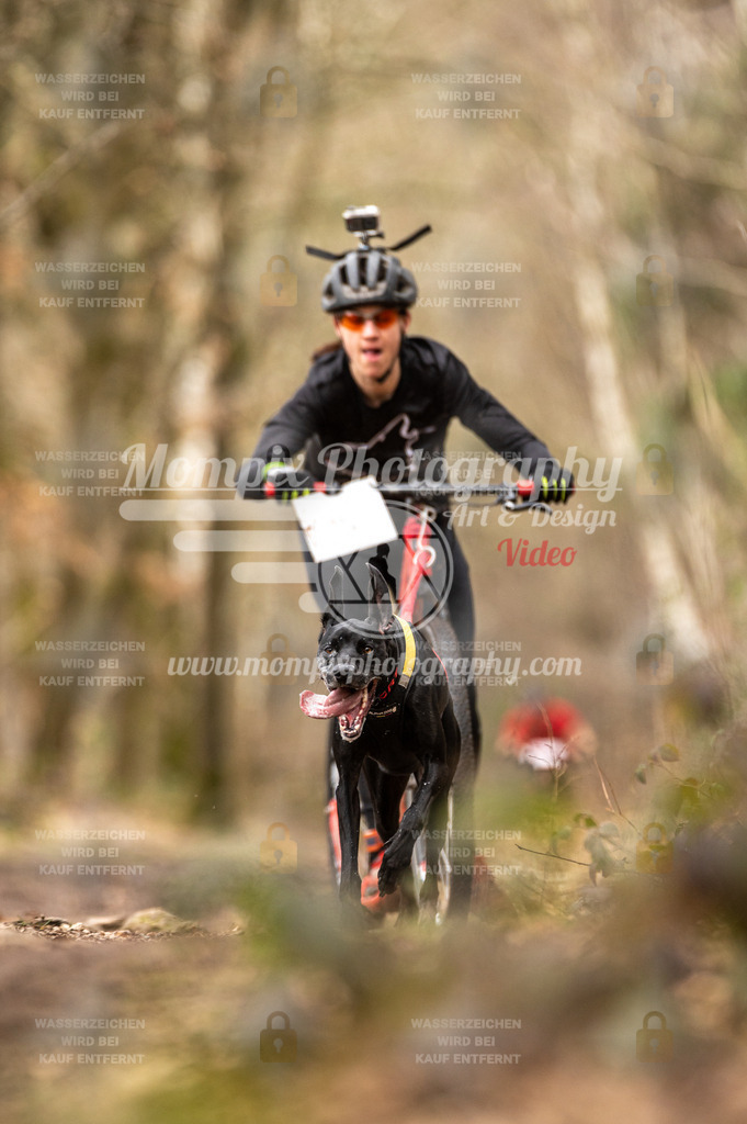 SPA_2023_SAM_Scooter-24 | PayLife
