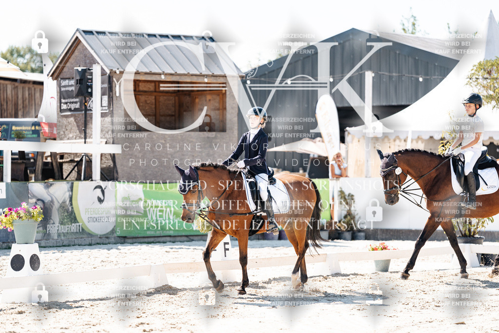 CK902488 | Turnierfotografie Pferdefotografie Trier Rheinland-Pfalz Pferdesport Reitsport Tierfotografie Sportfotografie Pferdevideo Pferdevideografie Equestrianvideography equestrianphotography  - Realisiert mit Pictrs.com