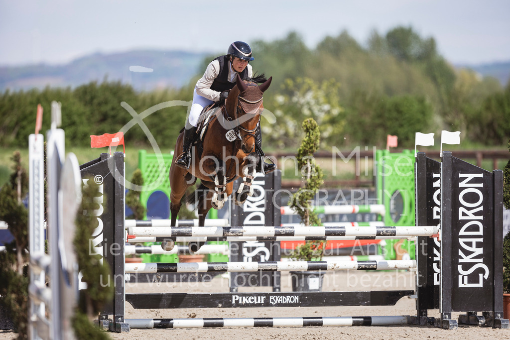 250419_Frühlingsfest_Stil-A2-2-613 | Deine schönsten Turniermomente als professionelle Fotos! Entdecke hochwertige Pferdesport-Fotografie im Online-Shop. Jetzt Fotos finden & bestellen!