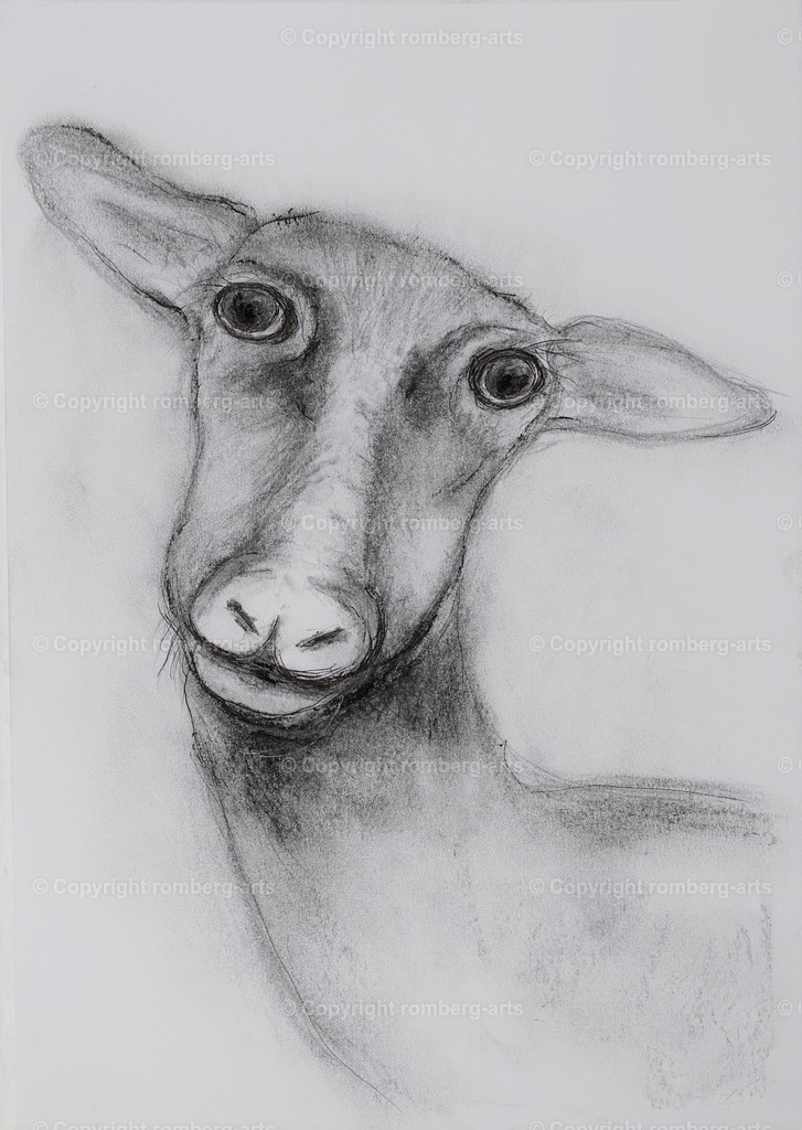 L1020672 (2) | romberg-arts, romberg-arts.de, www.romberg-arts.de, Foto_Online_Shop, Julia Fuhrmann, Köln, Fotos, Fotografie, Fotokunst, Kunstdrucke, Naturfotos, Aktfotos, Nacktfotos, schwarz_weiß_Fotos, Blumenfotos, Blumen, Tiere, Beton, Korrosion, Lächeln, Drucke