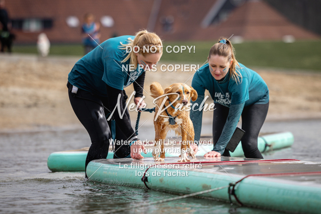 nelerasche_Hulsbeek_Sa1130-1230_560 | nelerasche