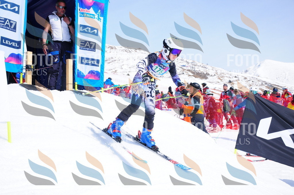 DSC_1533 | holidayphoto