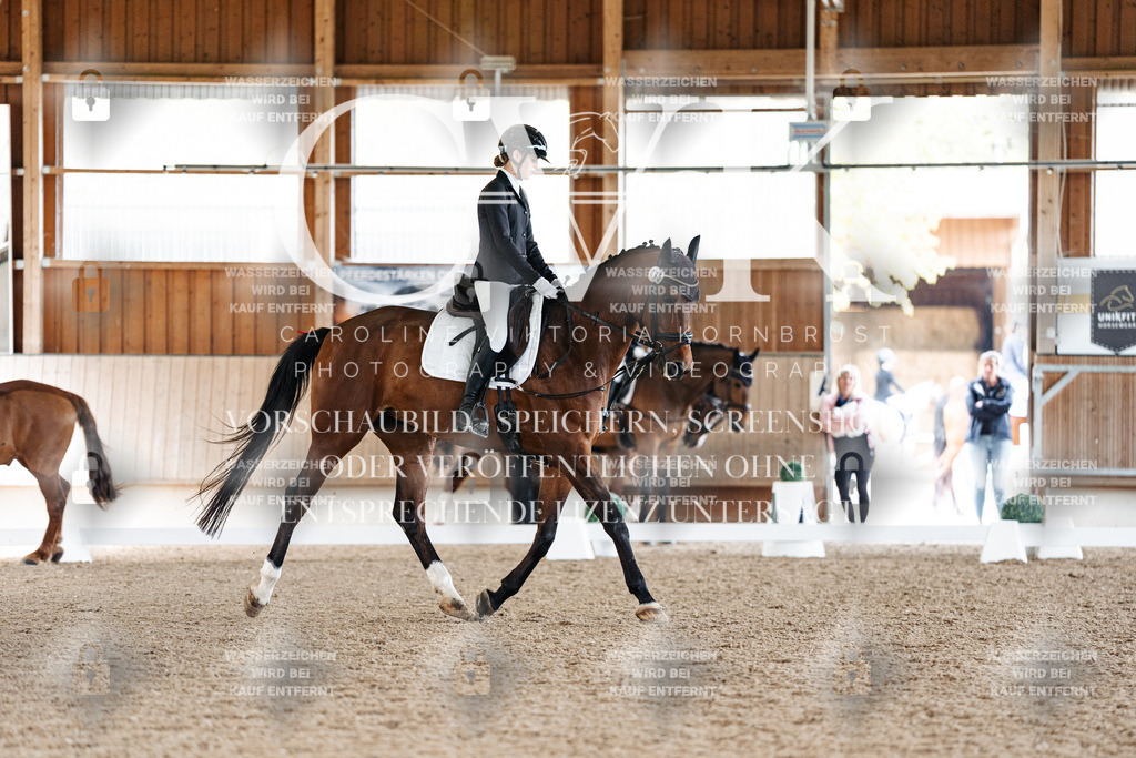 CK909693 | Turnierfotografie Pferdefotografie Trier Rheinland-Pfalz Pferdesport Reitsport Tierfotografie Sportfotografie Pferdevideo Pferdevideografie Equestrianvideography equestrianphotography  - Realisiert mit Pictrs.com