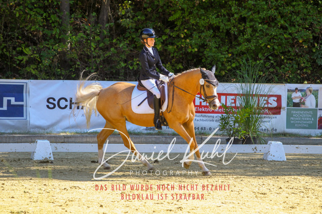 DKP41788 | Turniersportfotografie; Pferdefotografie; Dressurfotografie