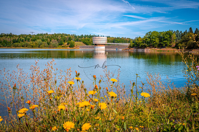 2025-09-07_11-29-04_780 | Blühende Blumen am Seeufer mit Blick auf einen Turm mit Staumauer und Wald im Hintergrund, Stausee Zeulenrodaer Meer, Zeulenroda-Triebes, Thüringen, Deutschland - Realisiert mit Pictrs.com