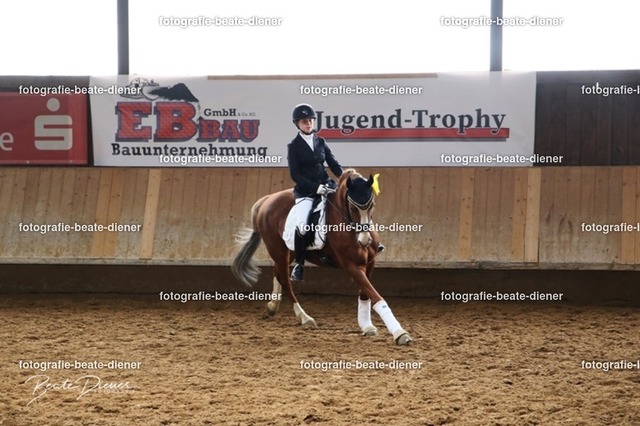 JugendTrophy0991 | Fotografie, Tiere, Hunde, Katzen, Pferde, Sportfotografie, Fotosession, Tierfotografie, Turnierfotografie, Fotografin, Fotograf - Realisiert mit Pictrs.com