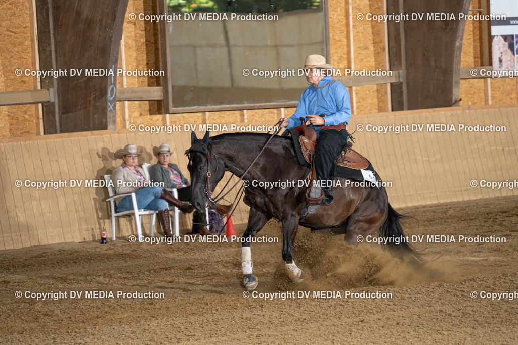 DSC00035-2 | dv-media-shop - Realisiert mit Pictrs.com