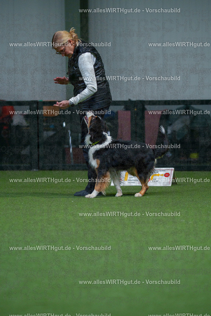 7R503279 | Professionelle Tierfotografie in Mönchengladbach von Daniel Wirth (allesWIRTHgut). Liebevolle & natürliche Bilder von Hunden & Katzen für unvergessliche Erinnerungen.