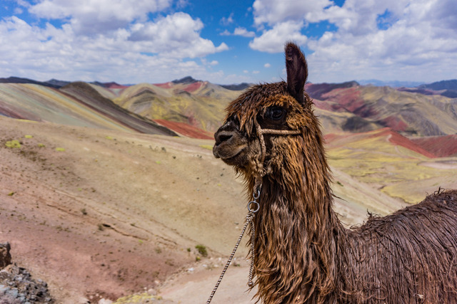 _DSC5729 | Atemberaubende Reisefotografie gepaart mit modernen Inspirationen für persönliche Perspektivwechsel. Für alle Reisenden mit Drang nach Abenteuer und Freiheit. Ideal als Geschenkidee - Realisiert mit Pictrs.com