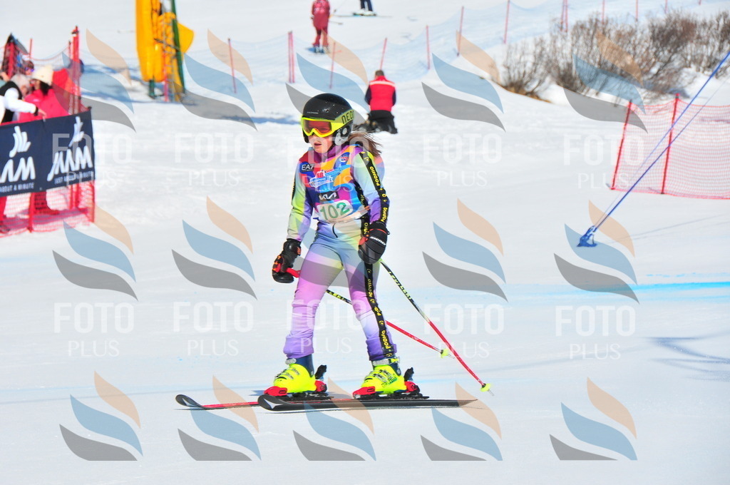 DSC_0739 | holidayphoto