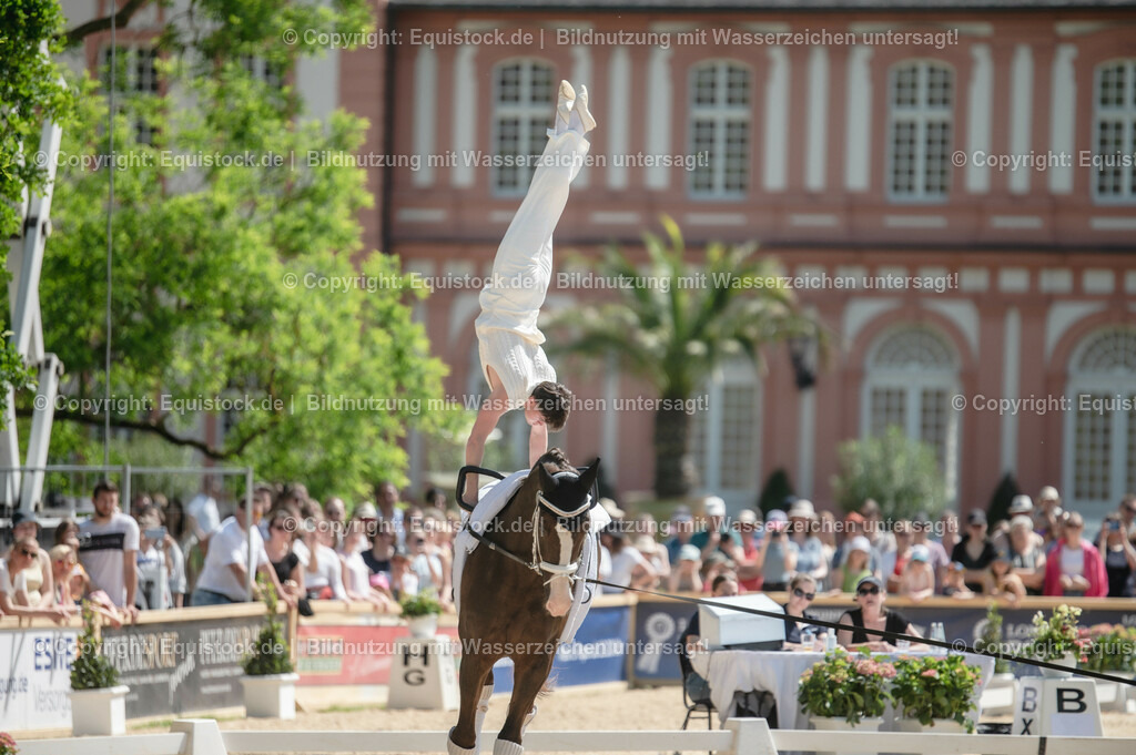 20230528_Voltigieren_NASPA_0076 | equistock
