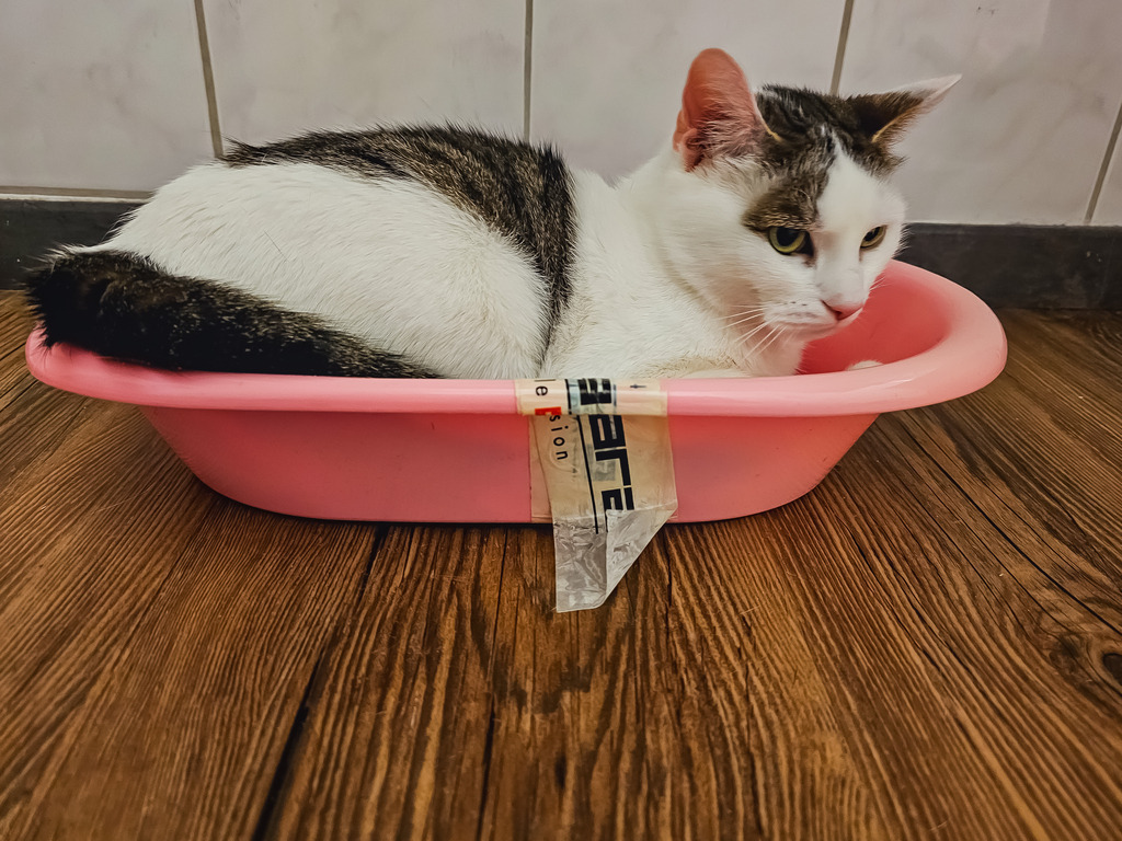 PSX_20230316_214245 | mtkfoto_ - Realisiert mit Pictrs.com