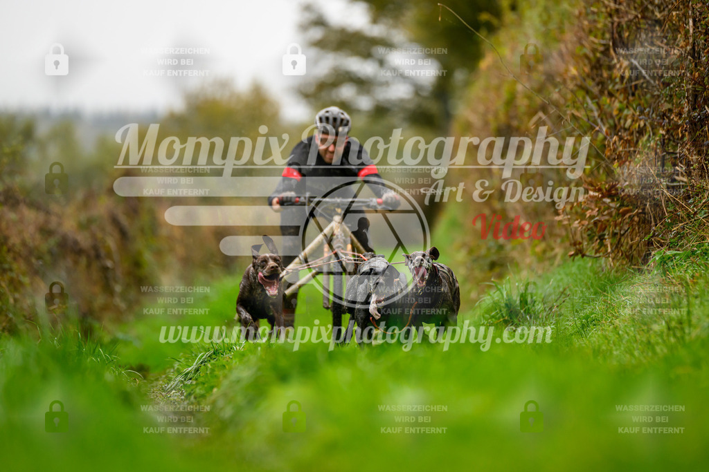 MompixPhotography_20TSB_E8_Kart-3 | PayLife
