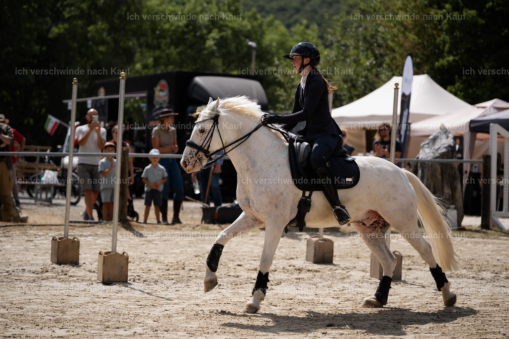 WM_SP_101_Stoibphotography_SO10064 | working equitationturnier fotograf videograf stoibphotography marixx film working equitation deutschland reitsport turnierfotografie eventfotografie equestrian events