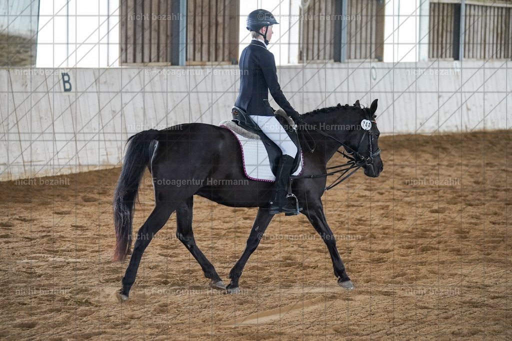 20230521-FAH06096 | Frühjahrsturnier, Landsberg am Lech, 2023, Reitclub Landsberg, Turnierbilder, Fotos Turnier Landsberg, Fotoagentur Herrmann, Turnierfotografen Bayern, Reitsport Fotograf, Pferde Fotograf