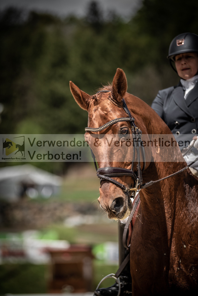 DSC_1465 | equestrian-live-com