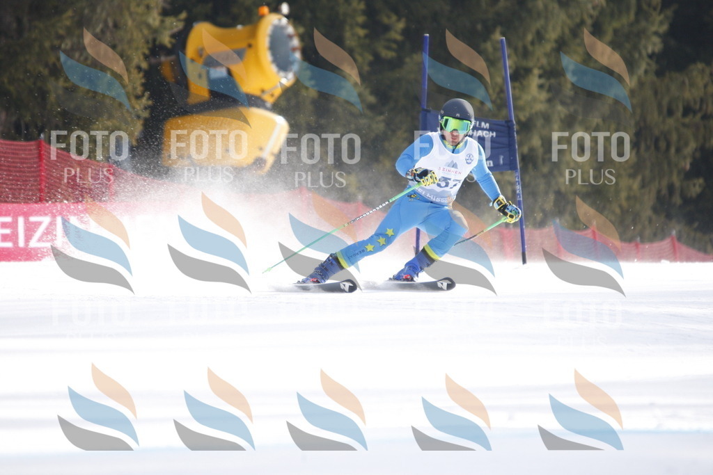 D7304 | holidayphoto