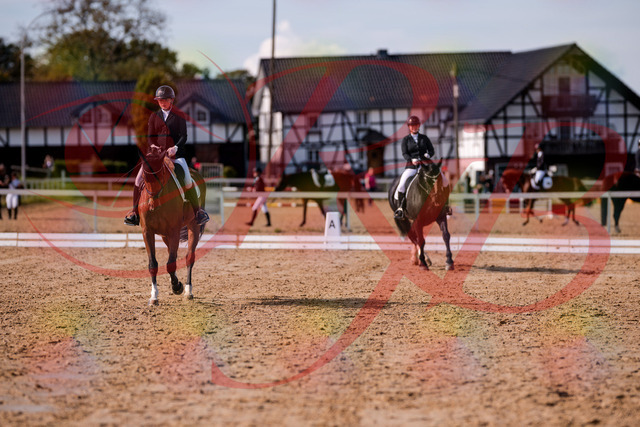 2026_10_03_Siefer-Hof_131934_Z81_68969037 | Professionelle Reitsport-, Turnier- und Eventfotografie von Robert Broda. Galerien mit ausgewählten und bearbeiteten Bildern direkt online ansehen und bestellen.