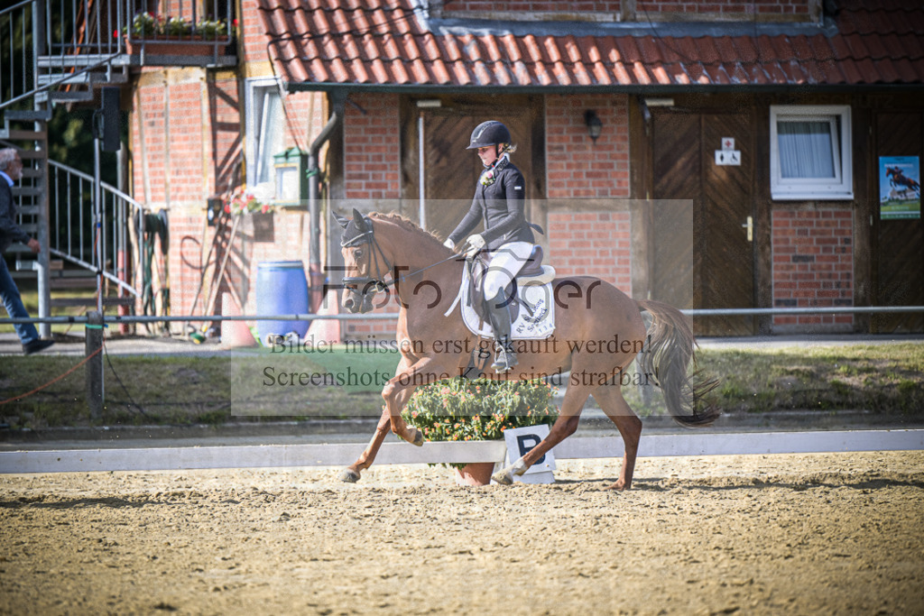 DOS_0444 | Entdecke hochwertige Reitturnierfotos von Foto Oger. Professionell, emotional und authentisch – jetzt Lieblingsmomente im Shop bestellen.Deutschlandweite Turnierfotografie. - Realisiert mit Pictrs.com