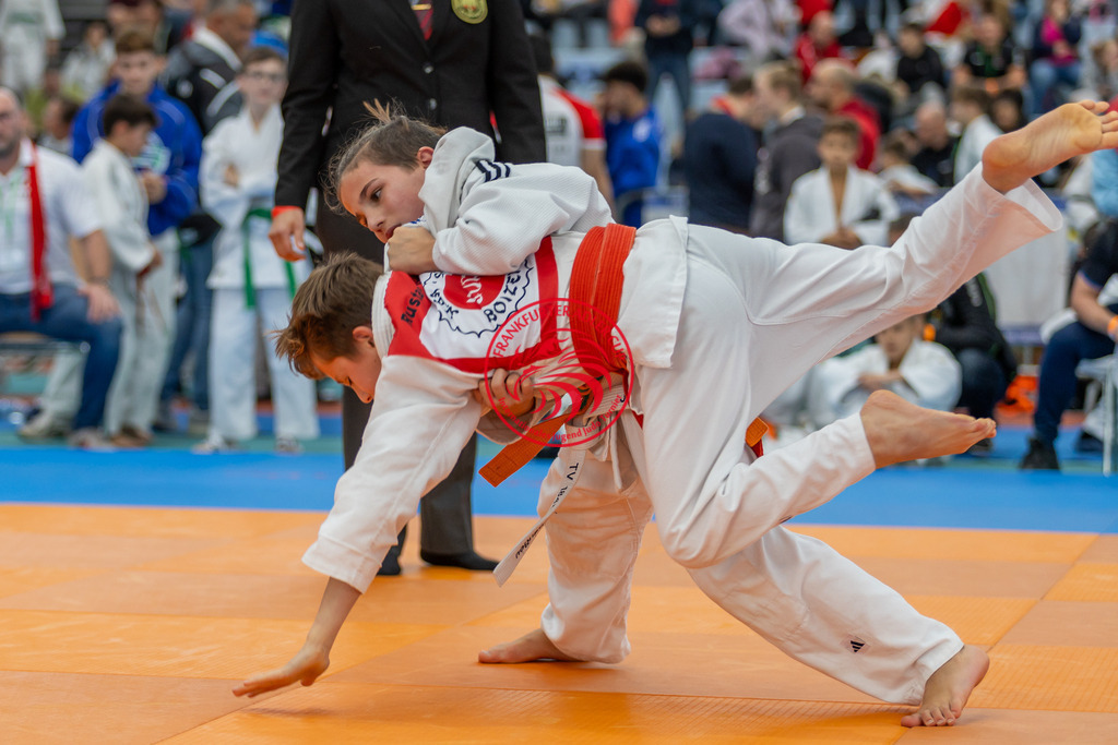 Internationaler Adler Cup 2024 | Foto vom Internationalen Adler Cup Judo Turnier im Sport- und Freizeitzentrum Kalbach im Oktober 2024 - Realisiert mit Pictrs.com