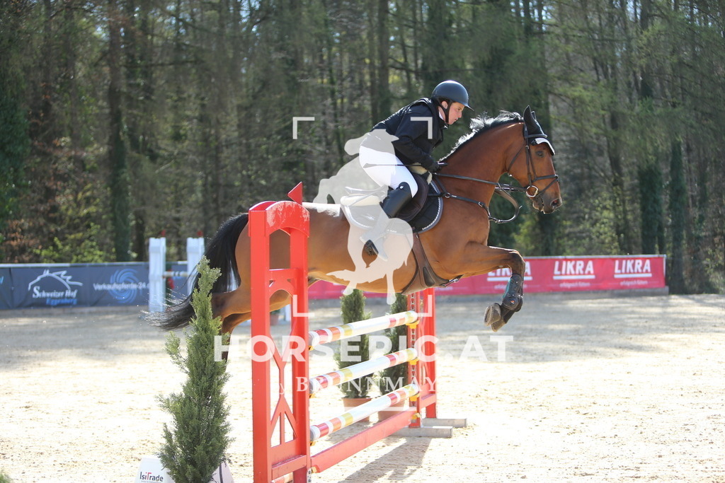 DL2Q0864 | Willkommen bei Brunnmayr - Design & Fotografie – Ihrem Spezialisten für Reitturniere und Pferdeveranstaltungen in Oberösterreich, Salzburg und Bayern! Seit über 17 Jahren sind wir leidenschaftlich dabei.