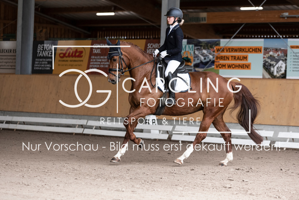 DSC_2706 | Carolin Gieschke