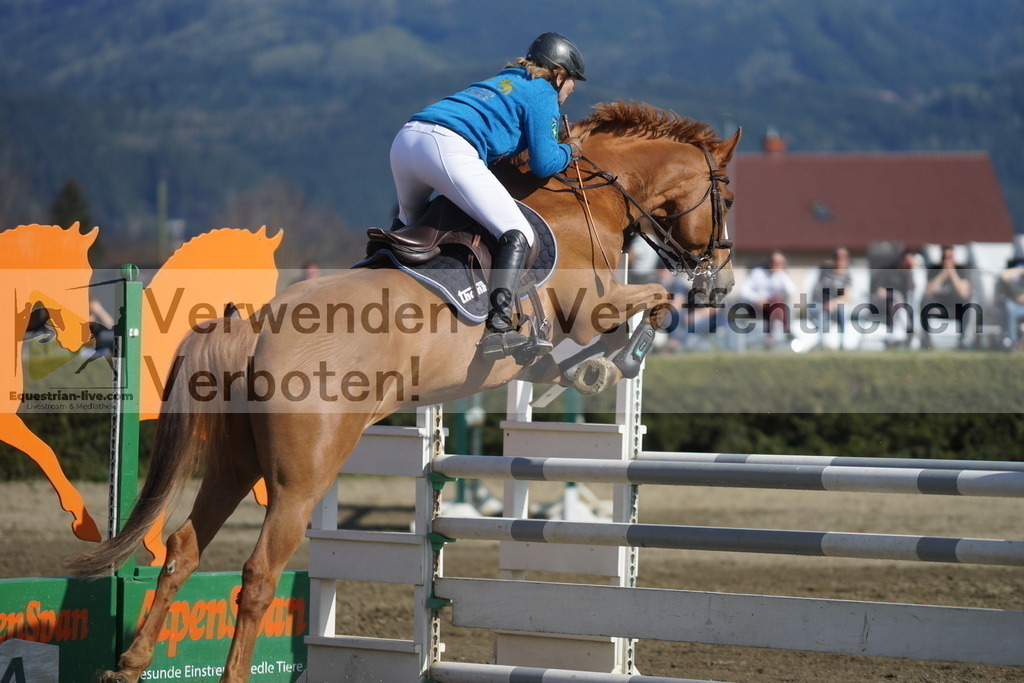 DSC03327 | equestrian-live-com